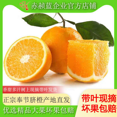 新鲜水果重庆奉节脐橙现摘纽荷尔