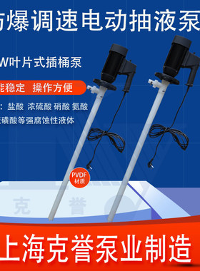防爆带调速电动插桶泵HP-EX2-V+PVDF-1200手提式盐酸抽液泵油桶泵