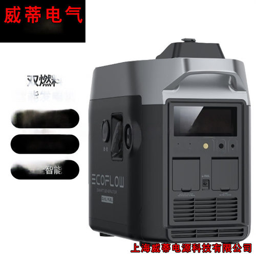 ECOFLOW正浩 220V户外露营停电应急移动电源 双燃料智能发电机