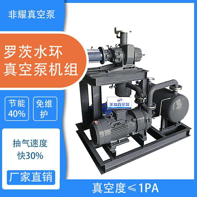 2.1罗茨泵水环真空泵机组高真空非耀