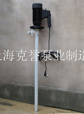 防爆调速插桶泵HP-EX2-V+PVDF-700HH防滴式硫酸抽液泵电动油桶泵