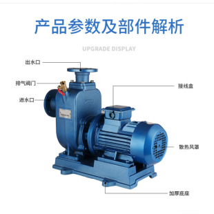 排污泵单级离心三相工业排污泵ZW无堵塞大流量高扬程增压泵 自吸式
