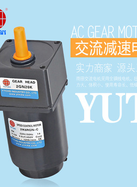 直供雨田25瓦可逆式阻尼减速电机4RK25GN-Y/4GN300K小马达