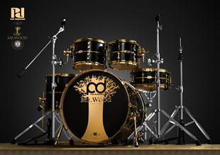 PD​木头先生限量版架子鼓原声jazz鼓贴纹​镶嵌 特殊鼓皮工艺