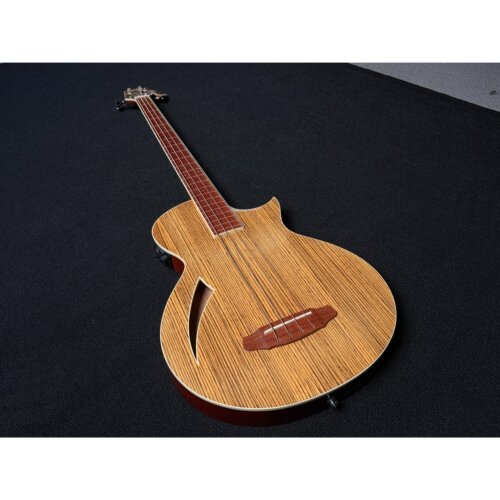 ESP LTD TL-4Z Bass电箱原声木贝斯不插电贝斯
