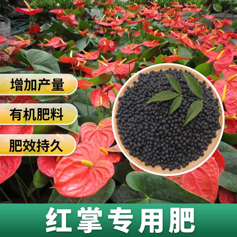 红掌专用肥种花养花肥料营养肥红掌白掌花肥料家庭盆栽通用缓释肥