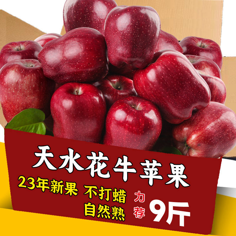 现货甘肃天水花牛苹果3/5/9斤水果新鲜整箱孕妇当季红甜粉面包邮高性价比高么？