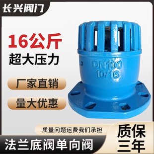 法兰铸铁水泵单向止回底阀抽水泵吸水新型底阀门DN40 80100