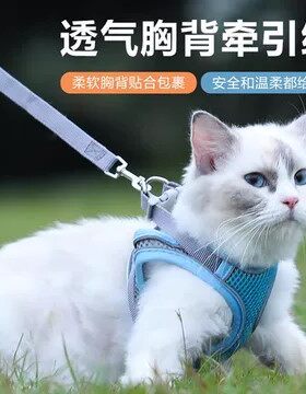 小猫牵引绳防挣脱遛毛孩子专用神器背心式可伸缩外出的衣服溜绳子