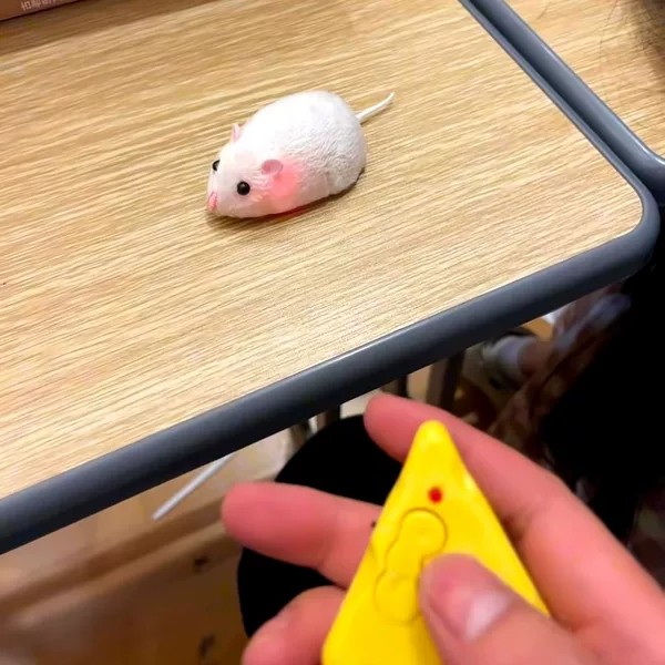 Товары от 艺璇km