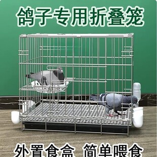 鸽子笼养鸽子专用笼养殖笼家用繁殖笼配对笼大号新型鸽舍鸽子笼子