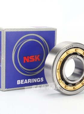 进口NSK圆柱滚子轴承RN N  311 312  313 314 315 EM EW C3