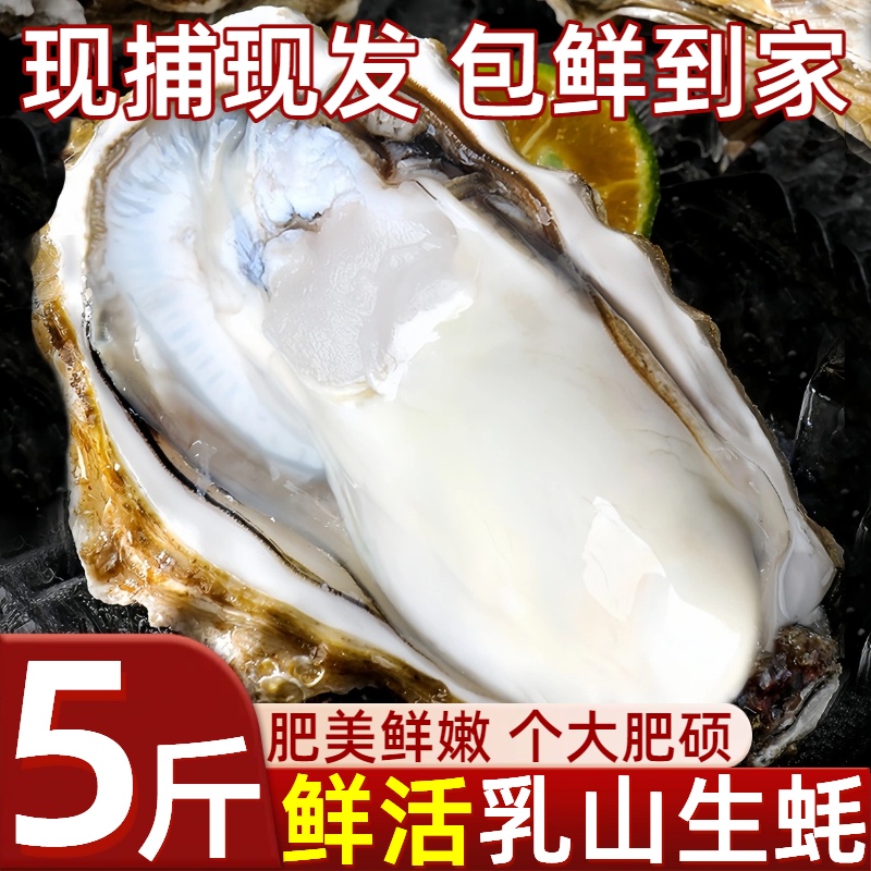 生蚝新鲜现捕鲜活乳山生蚝