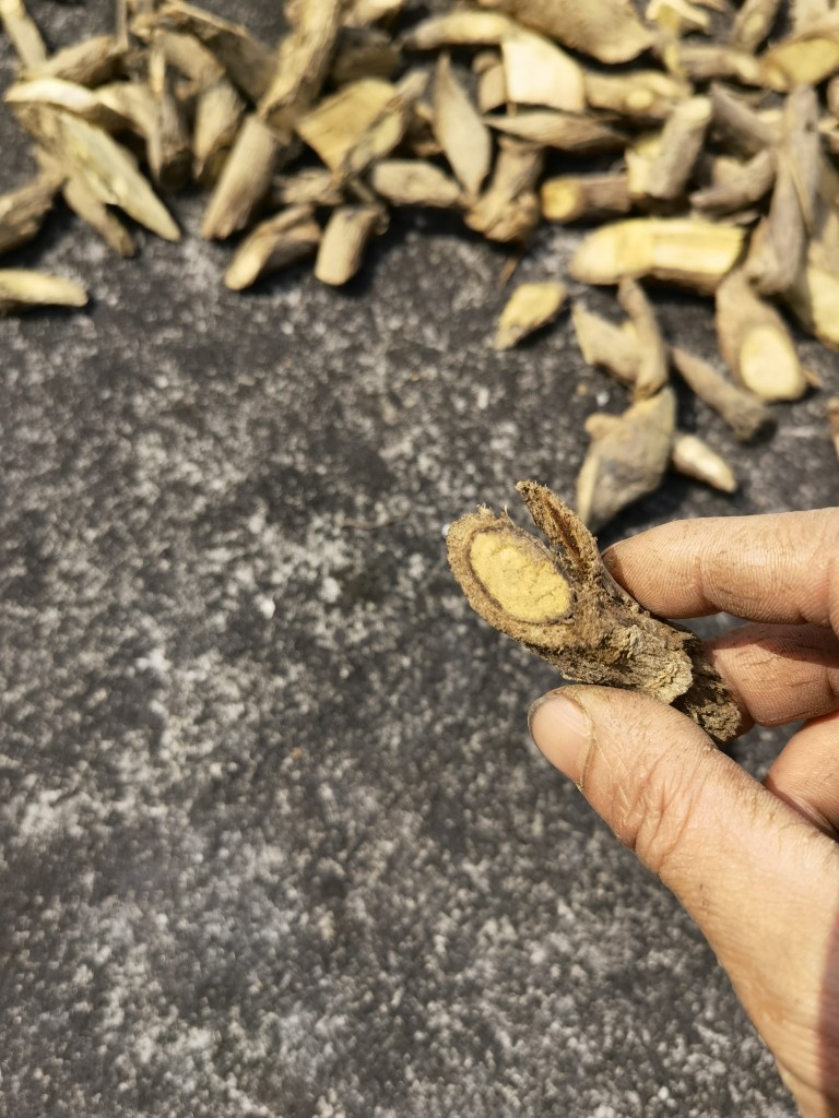 (500克)野生正品猫尾树根 猫尾薯 猫尾木根干货纯根部