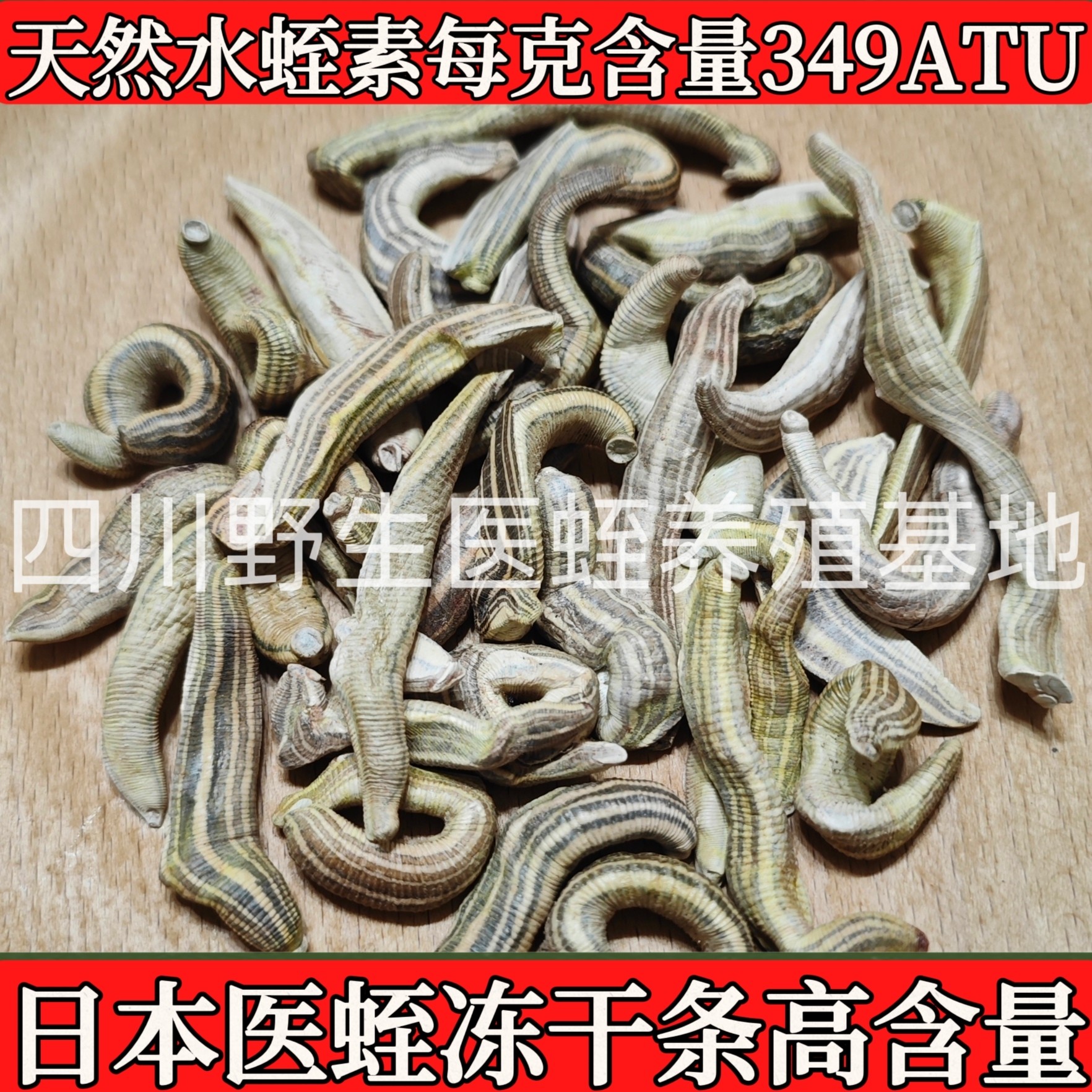 正宗冻干水蛭中药材清水蚂蝗吸血小水蛭素医用日本医蛭冻干粉胶囊