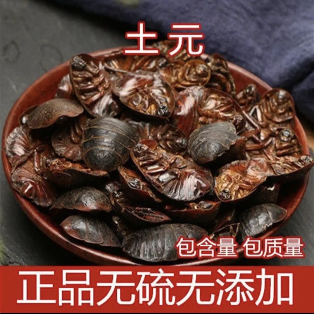 500g地乌龟土元中药材地鳖虫土元虫土元干土鳖中药土鳖虫粉土元粉
