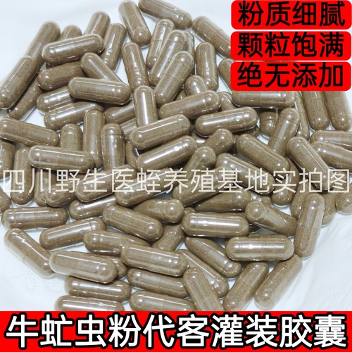 医用牛虻虫中药材50克药用虻虫粉牛虻牛蚊子牛苍蝇瞎虻虫牛虻干货