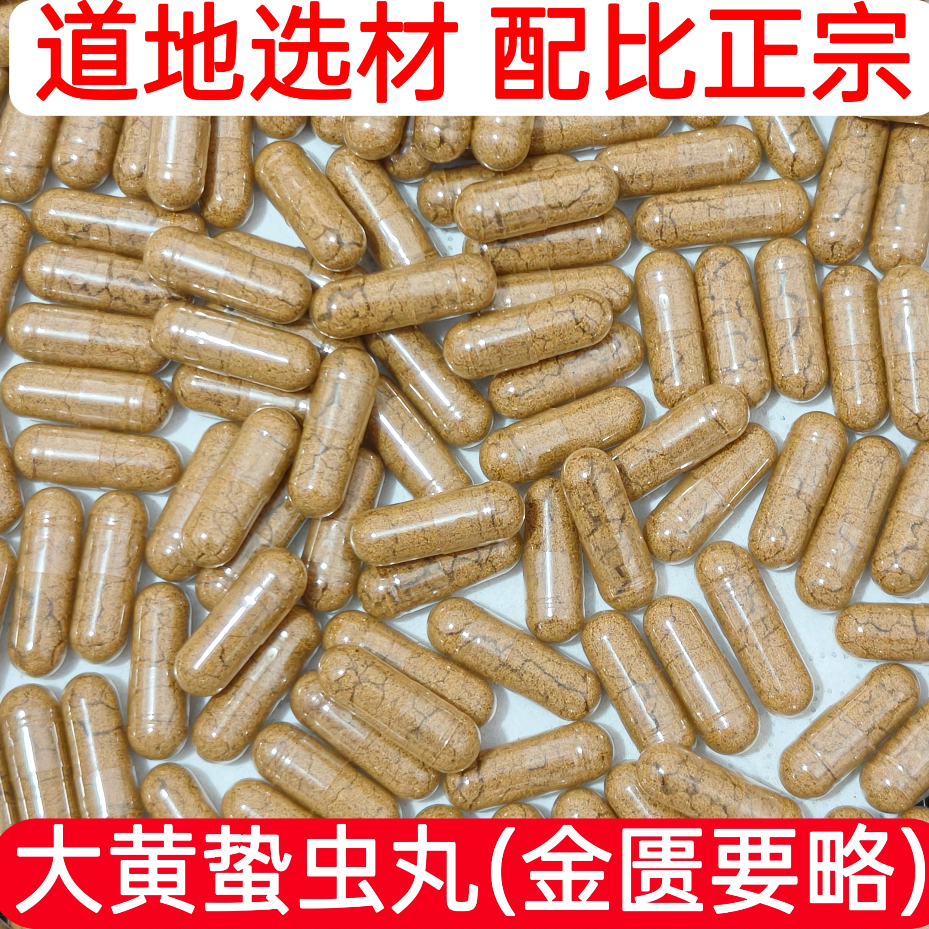 粉剂胶囊定制/抵挡汤/大黄蛰虫丸/水蛭蜈蚣全蝎土元地龙三七天麻