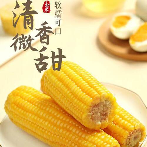 【试吃3根 整箱13根】东北黄糯玉米独立真空软糯香甜整箱6.5-7斤