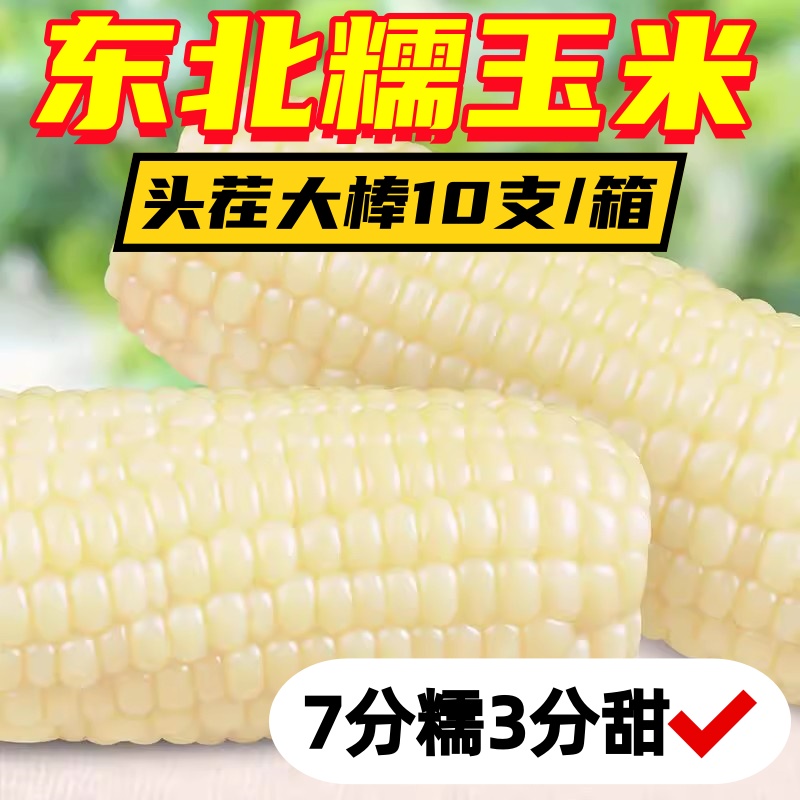 黑龙江糯玉米非转基因0添加