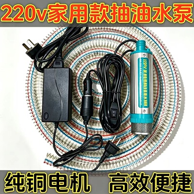 家用电动抽油泵柴油12V/220V