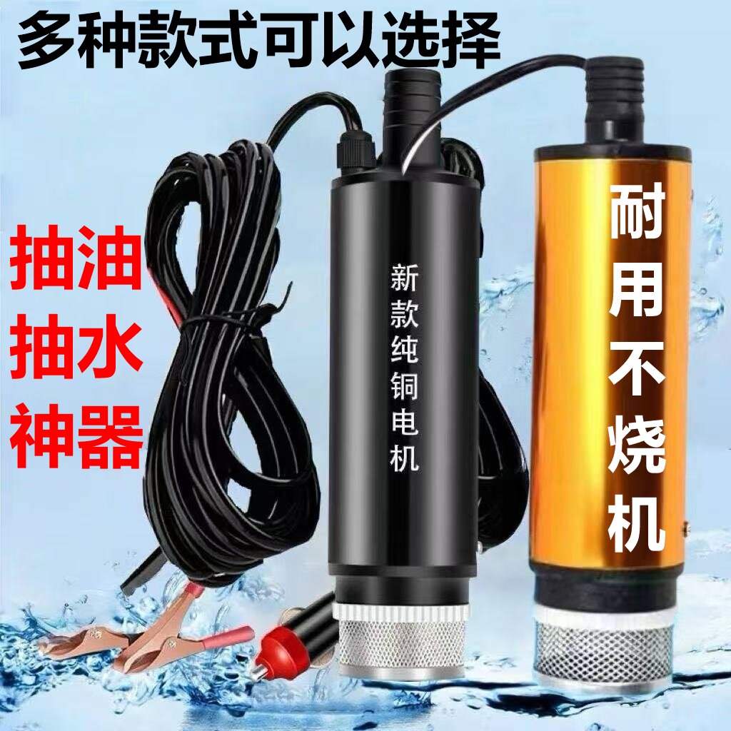电动抽油泵 12V24伏220水泵