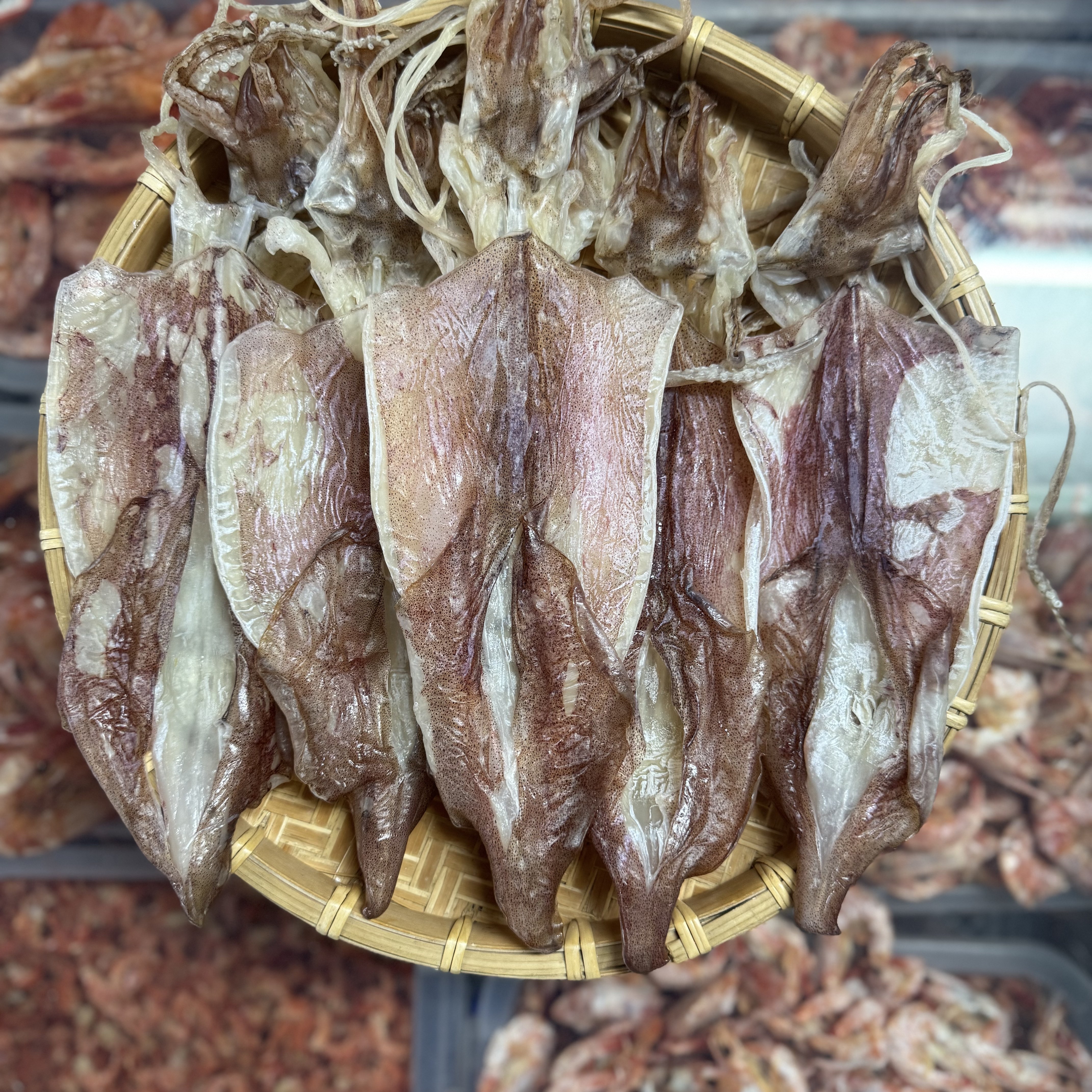 北海湿鱿/宅鱿6-7/斤个烧烤专用