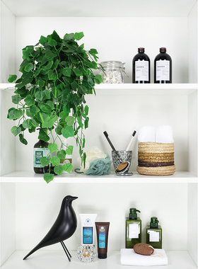 卫生间道具绿植浴室柜软装小摆件