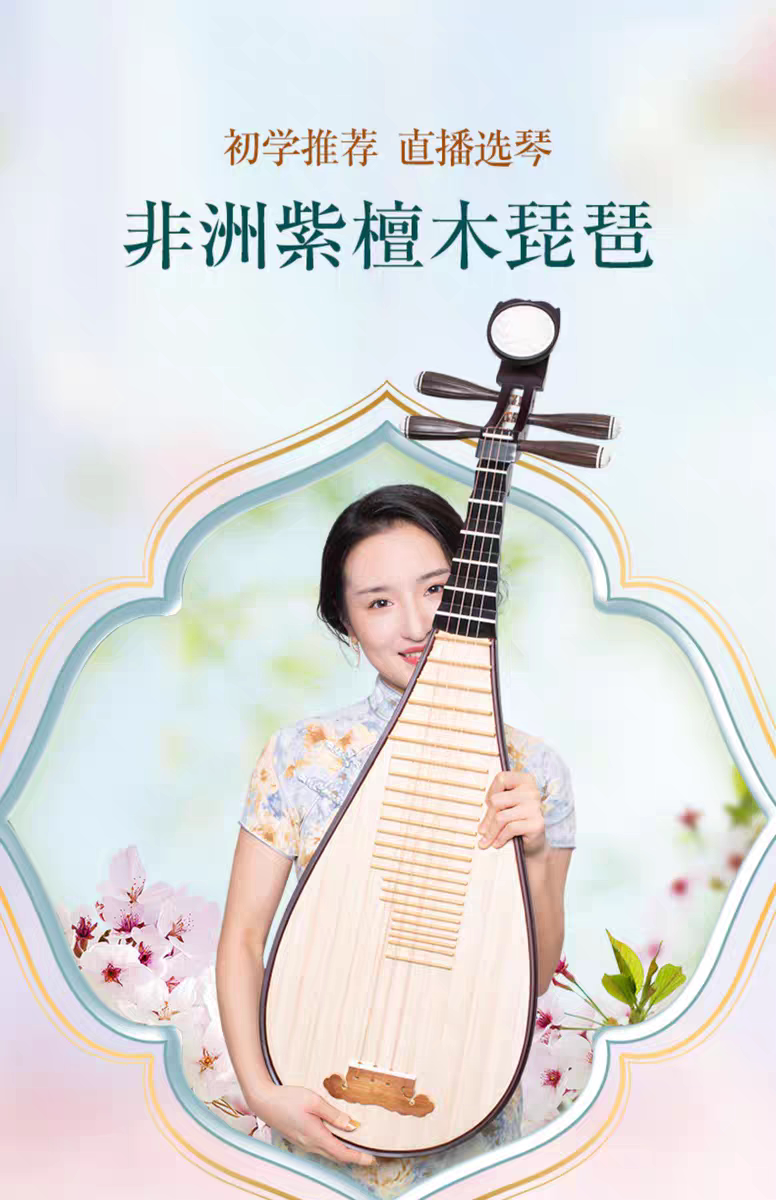 乐海琵琶乐器非洲紫檀木材质