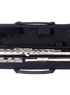 雅马哈长笛YFL-222/S2标准型闭孔初学者成年儿童家用教学专业表演