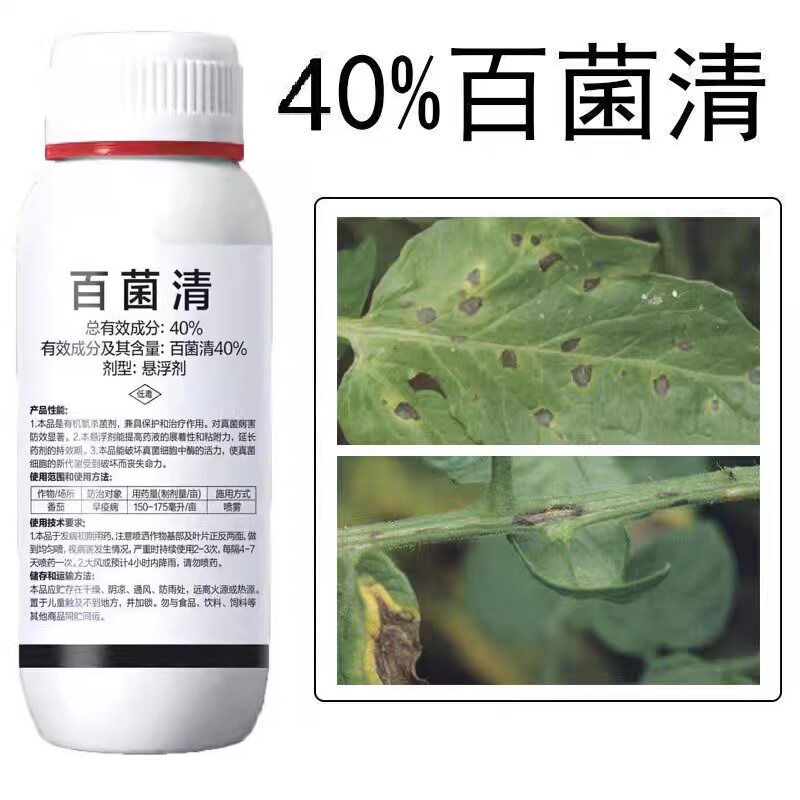 40%百菌清蔬菜番茄杀菌剂番茄早疫病专用农药百菌清悬浮剂杀菌药