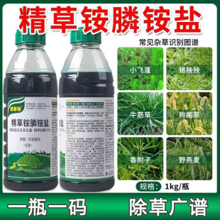 佰草顿精草铵膦铵盐除草剂荒地果园恶性杂草连根烂除草药厂家直销