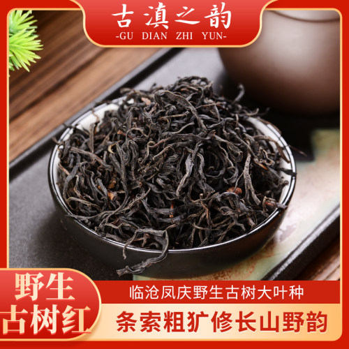 2026年野生古树滇红茶云南凤庆滇红茶特殊幽兰香 花果香散装礼盒