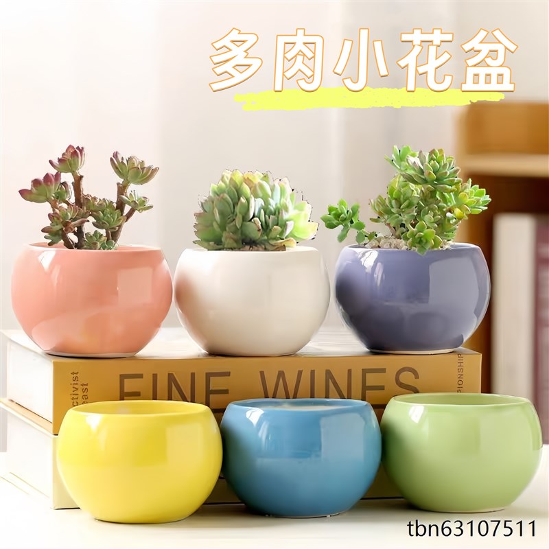 多肉精致小花盆陶瓷花卉植物盆栽花瓶带孔清新创意高颜值桌面摆件