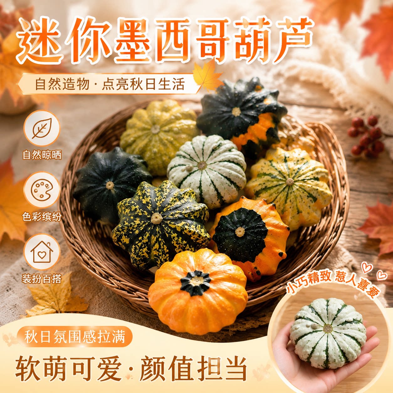 墨西哥七彩葫芦摆件手捻小葫芦异形观赏小南瓜墨西哥葫芦挂件装饰