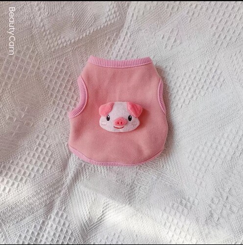 0到3个月小猫咪衣服双面绒防掉毛