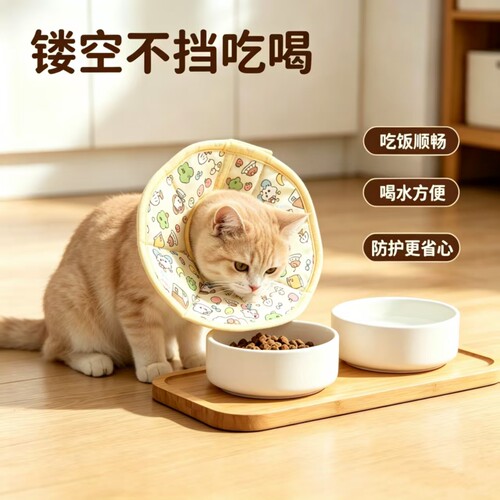猫咪伊丽莎白圈防舔专用绝育驱虫猫项圈防水加厚猫用脖围猫圈头套