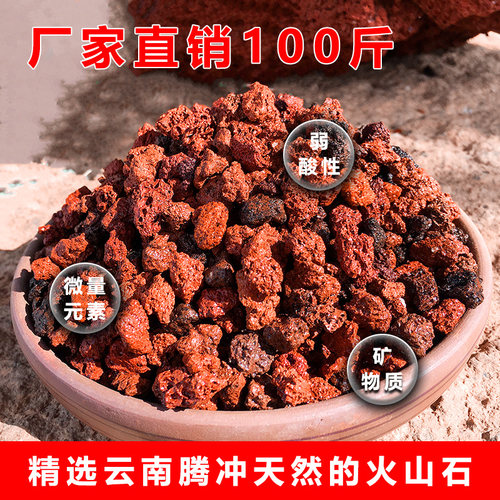 腾冲精筛天然火山石颗粒兰花多肉铺面石多肉植物专用火山岩颗粒