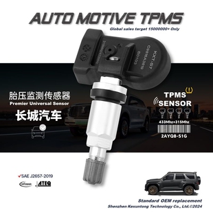 专用欧拉黑猫胎压传感器自动匹配内置车轮胎气压监测通用白猫好猫