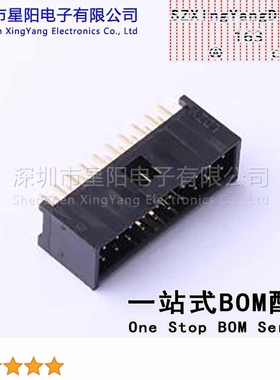 X9555WV-2x10E-PTV01 配套 针座胶壳X9555H 2x10E PT端子X9555T P