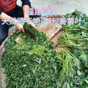 福建泡水草药霜打红薯叶丝晒干地瓜叶番薯叶菜干菜脯苗条菜叶无糖