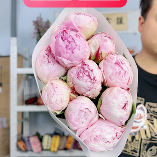 莎拉芍药5支不包邮