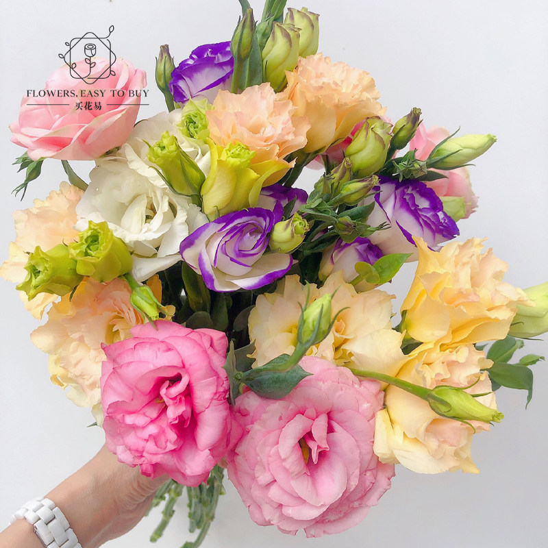 a级洋桔梗鲜花龙胆花水养插花书房客厅花束基地直发花卉观赏植物