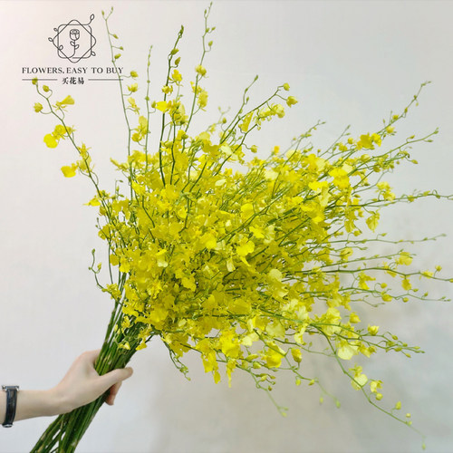 文心兰鲜花水养欧系风格好看耐养