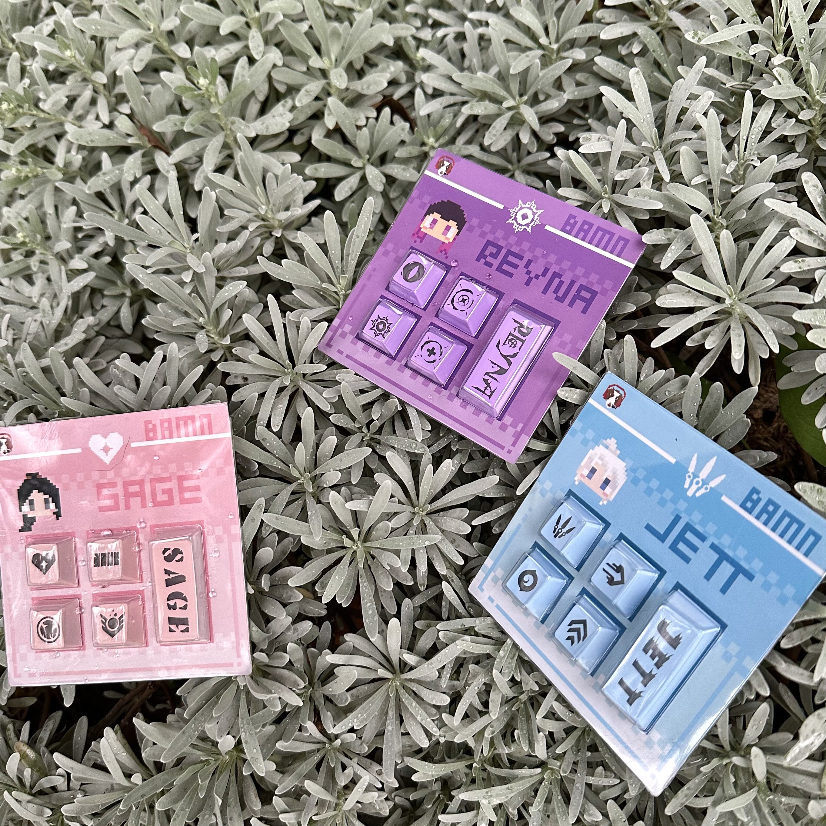 暮蝶贤者芮娜主题捷风键帽