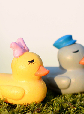 微景观卡通迷你鸭子装饰创意情侣鸭公仔手工造景玩具动物小摆件