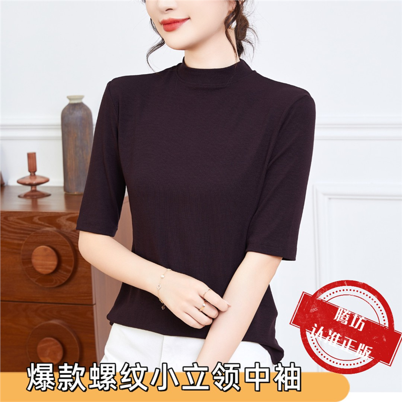 十三行云朵2025新款小立领中袖显瘦打底衫显身材内搭短袖T恤女士
