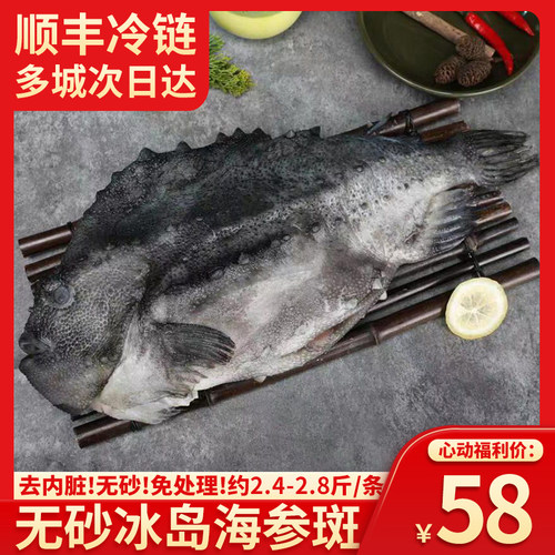 进口海参斑深海鱼去砂去内脏