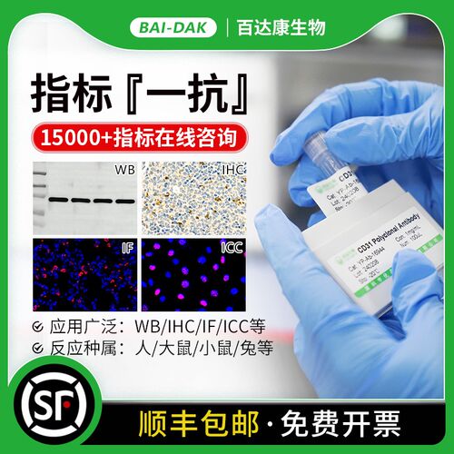 优品 三鹰 CST abcam指标一抗WB抗体10ul小包装单抗多抗 antibody