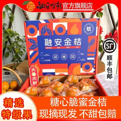 广西融安金桔正宗脆蜜金柑